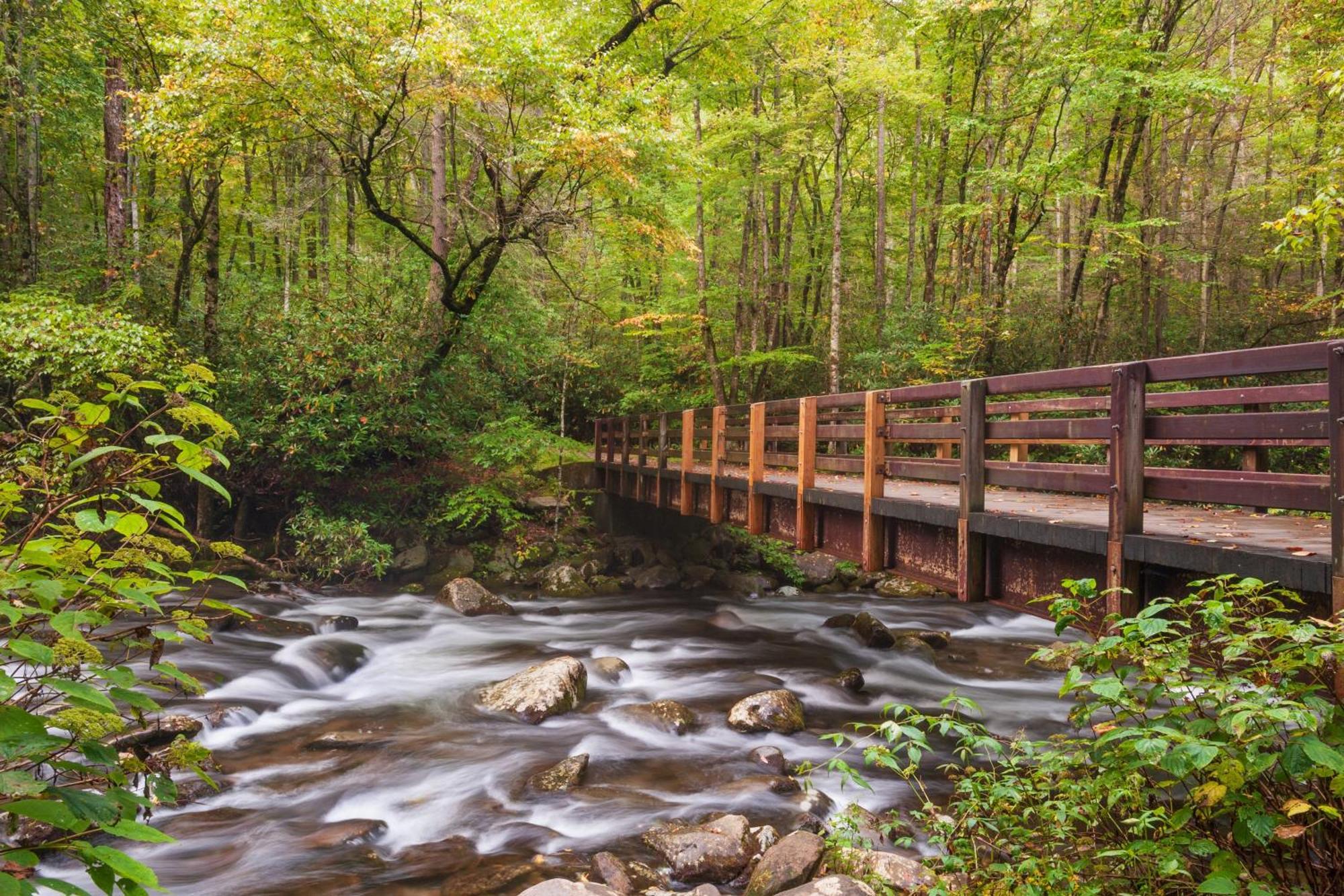 Smoky Mountain Serenity, Amazing Mountain Views 1089 Free Tickets Each Paid Day, Dollywood And More Sevierville Exterior photo